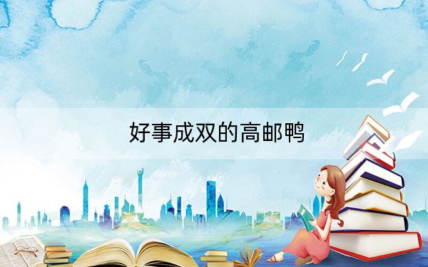 好事成双的高邮鸭