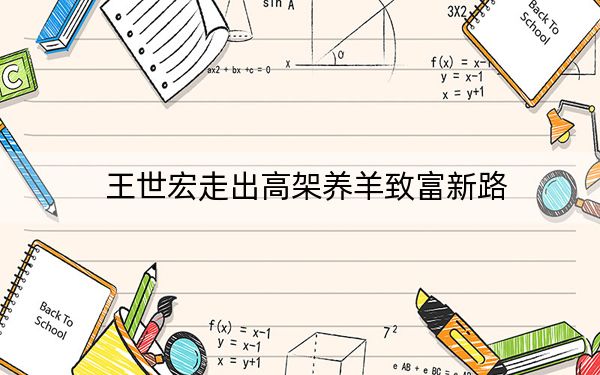 王世宏走出高架养羊致富新路