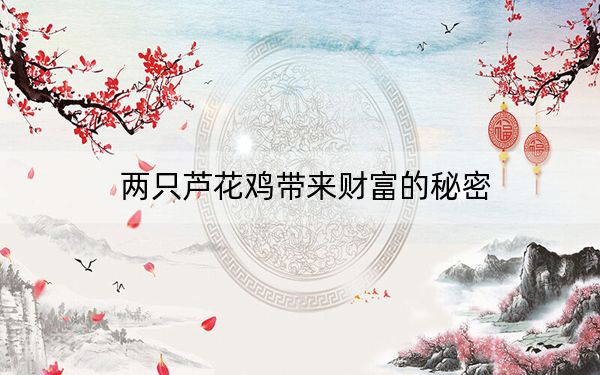 两只芦花鸡带来财富的秘密