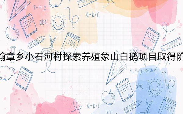 敦化市翰章乡小石河村探索养殖象山白鹅项目取得阶段性成功