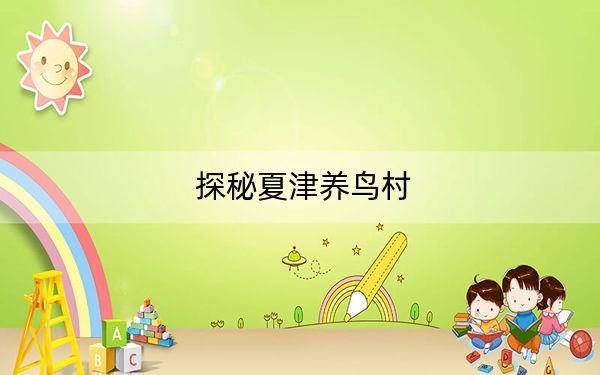 探秘夏津养鸟村