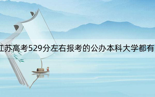 江苏高考529分左右报考的公办本科大学都有哪些？（附带近三年529分大学录取名单）