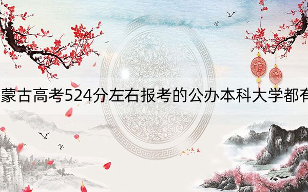 内蒙古高考524分左右报考的公办本科大学都有哪些？（附带2022-2024年524录取名单）