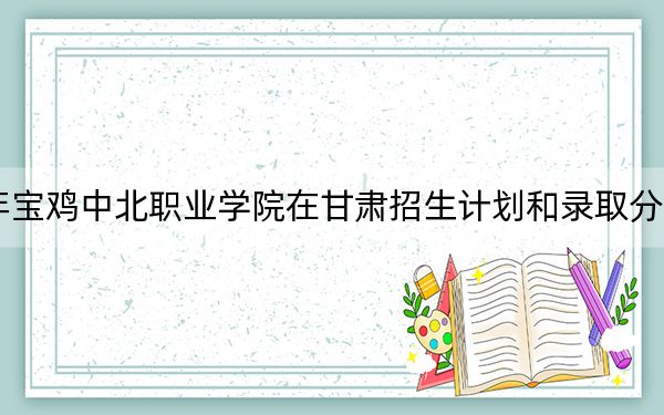 2024年宝鸡中北职业学院在甘肃招生计划和录取分数线是多少？甘肃考生2025年参考