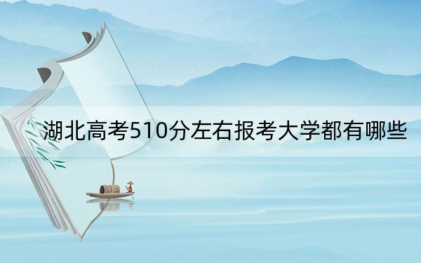 湖北高考510分左右报考大学都有哪些？ 2024年录取最低分510的大学