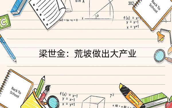 梁世金：荒坡做出大产业