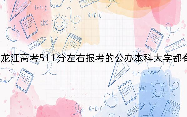 黑龙江高考511分左右报考的公办本科大学都有哪些？ 2024年一共67所大学录取