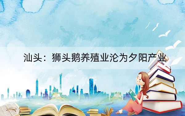汕头：狮头鹅养殖业沦为夕阳产业