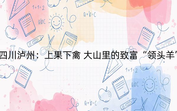 四川泸州:上果下禽 大山里的致富“领头羊”