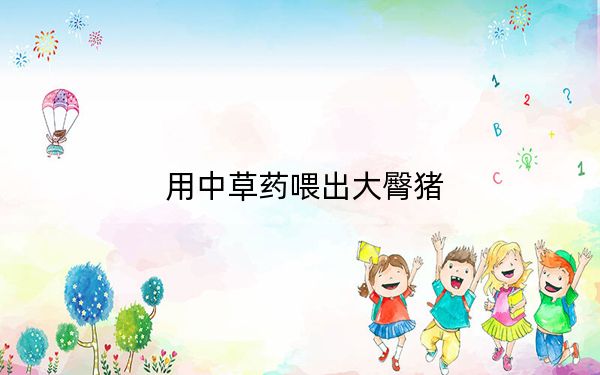 用中草药喂出大臀猪