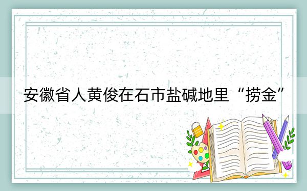 安徽省人黄俊在石市盐碱地里“捞金”