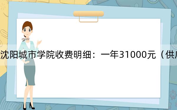 2024年沈阳城市学院收费明细：一年31000元（供广东考生参考）