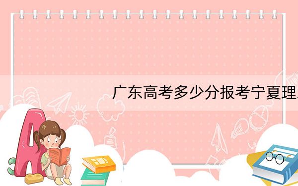 广东高考多少分报考宁夏理工学院？2024年历史类最低477分 物理类485分