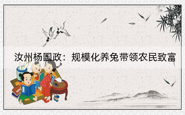 汝州杨国政：规模化养兔带领农民致富