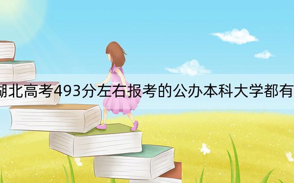 湖北高考493分左右报考的公办本科大学都有哪些？（附带2022-2024年493录取名单）