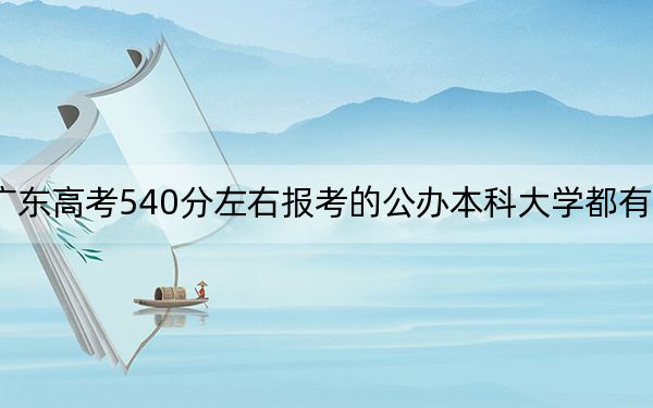 广东高考540分左右报考的公办本科大学都有哪些？